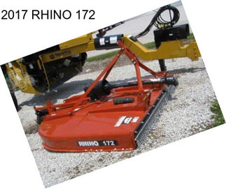 2017 RHINO 172