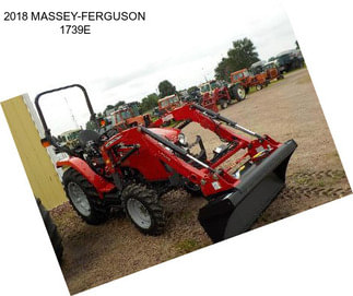 2018 MASSEY-FERGUSON 1739E