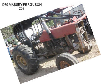 1979 MASSEY-FERGUSON 255