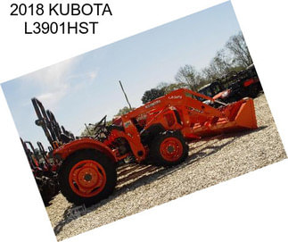 2018 KUBOTA L3901HST