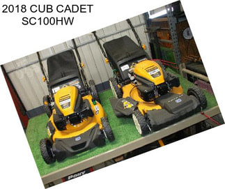 2018 CUB CADET SC100HW