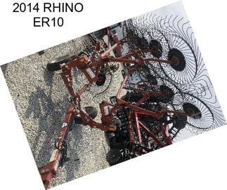 2014 RHINO ER10