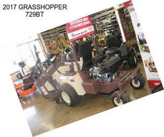 2017 GRASSHOPPER 729BT