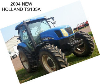 2004 NEW HOLLAND TS135A