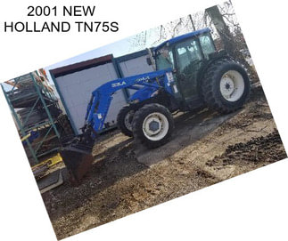 2001 NEW HOLLAND TN75S
