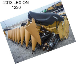 2013 LEXION 1230