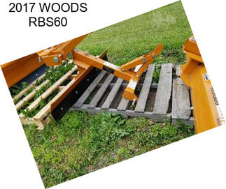 2017 WOODS RBS60