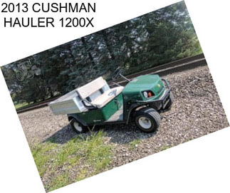 2013 CUSHMAN HAULER 1200X