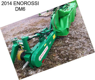 2014 ENOROSSI DM6