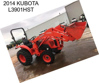 2014 KUBOTA L3901HST