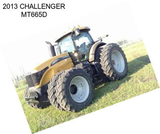 2013 CHALLENGER MT665D