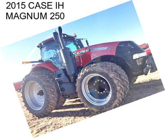 2015 CASE IH MAGNUM 250