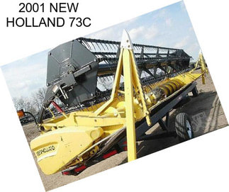 2001 NEW HOLLAND 73C