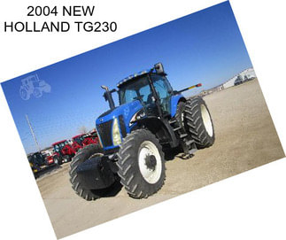 2004 NEW HOLLAND TG230