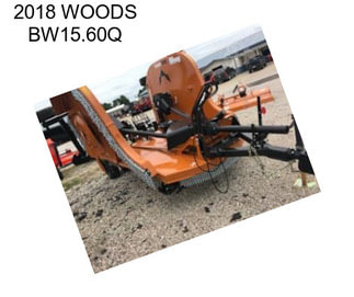 2018 WOODS BW15.60Q