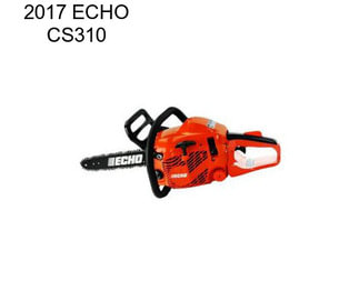 2017 ECHO CS310