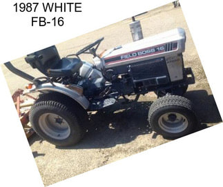 1987 WHITE FB-16