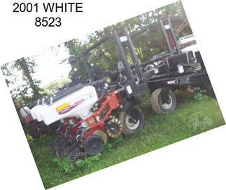 2001 WHITE 8523