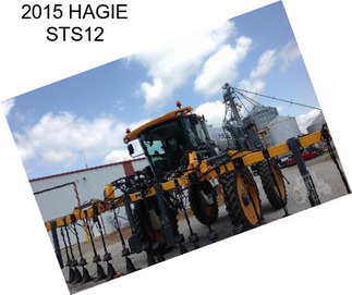 2015 HAGIE STS12