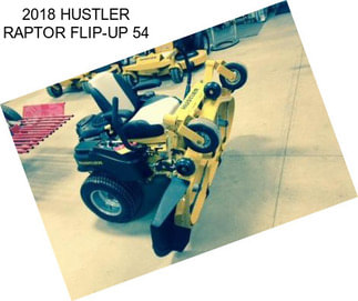 2018 HUSTLER RAPTOR FLIP-UP 54