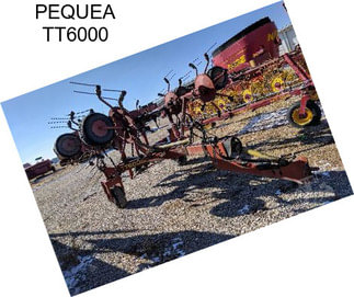 PEQUEA TT6000