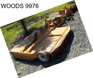 WOODS 9976