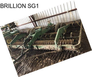 BRILLION SG1