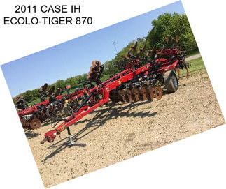 2011 CASE IH ECOLO-TIGER 870