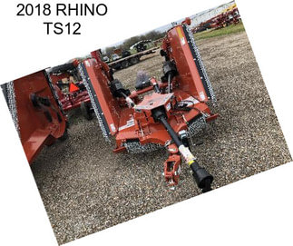 2018 RHINO TS12