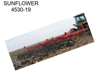 SUNFLOWER 4530-19