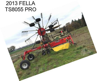 2013 FELLA TS8055 PRO