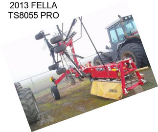 2013 FELLA TS8055 PRO