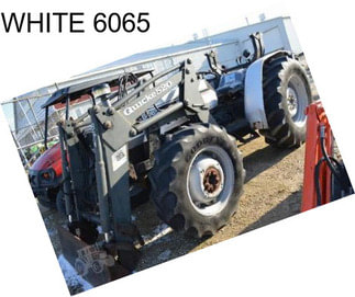 WHITE 6065