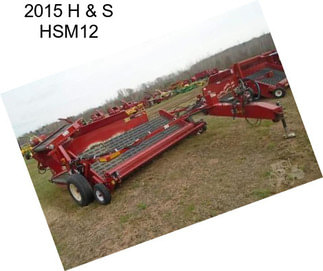2015 H & S HSM12