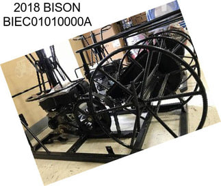 2018 BISON BIEC01010000A