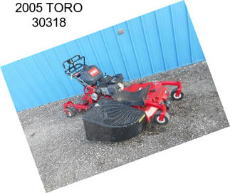 2005 TORO 30318