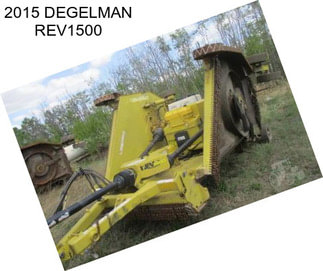 2015 DEGELMAN REV1500