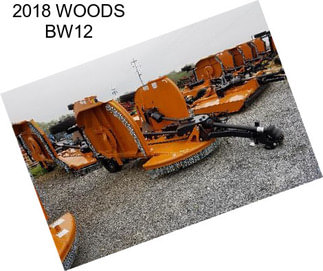 2018 WOODS BW12