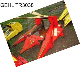 GEHL TR3038