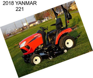 2018 YANMAR 221