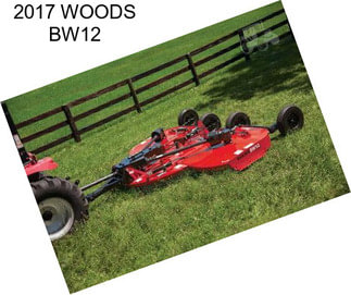 2017 WOODS BW12