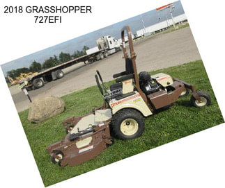 2018 GRASSHOPPER 727EFI