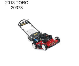 2018 TORO 20373