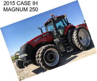 2015 CASE IH MAGNUM 250