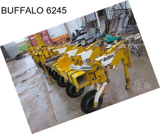 BUFFALO 6245