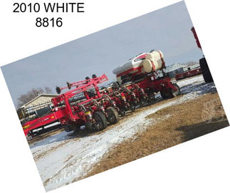 2010 WHITE 8816