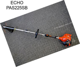 ECHO PAS225SB