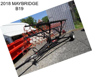 2018 MAYBRIDGE B19