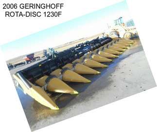 2006 GERINGHOFF ROTA-DISC 1230F