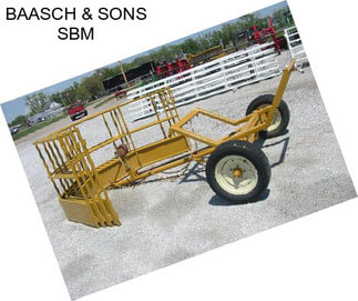 BAASCH & SONS SBM